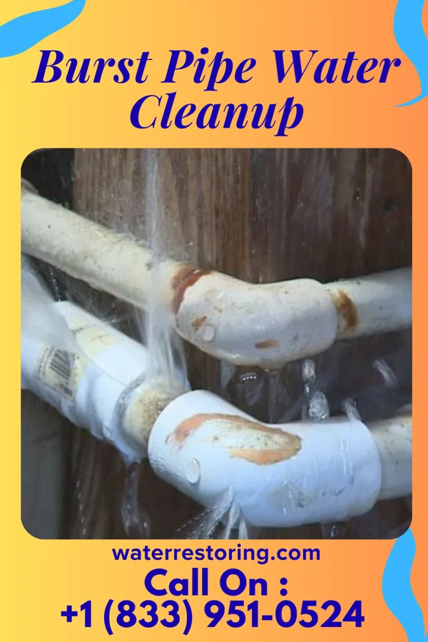 Burst Pipe Water Cleanup in Sugar City, ID