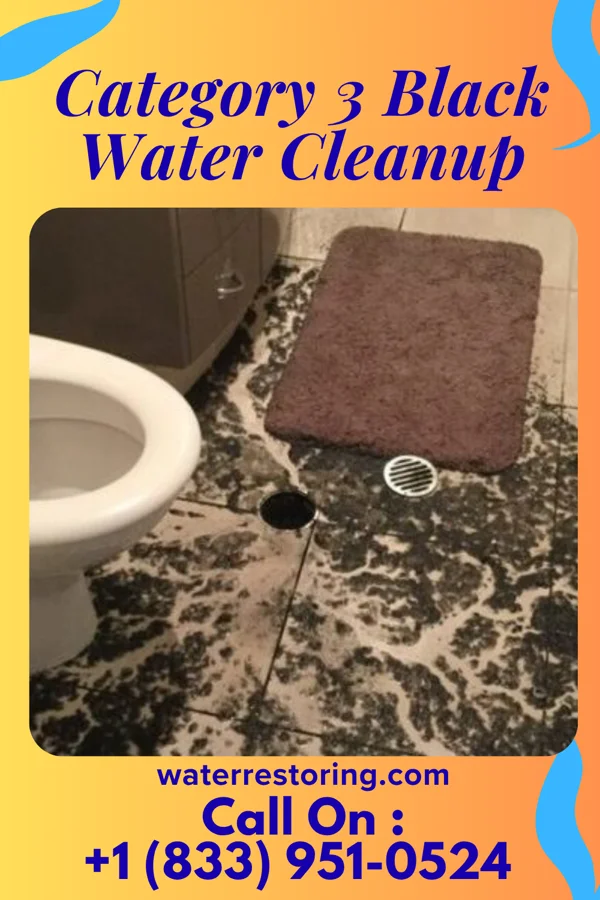 Category 3 Black Water Cleanup in Sugar City, ID