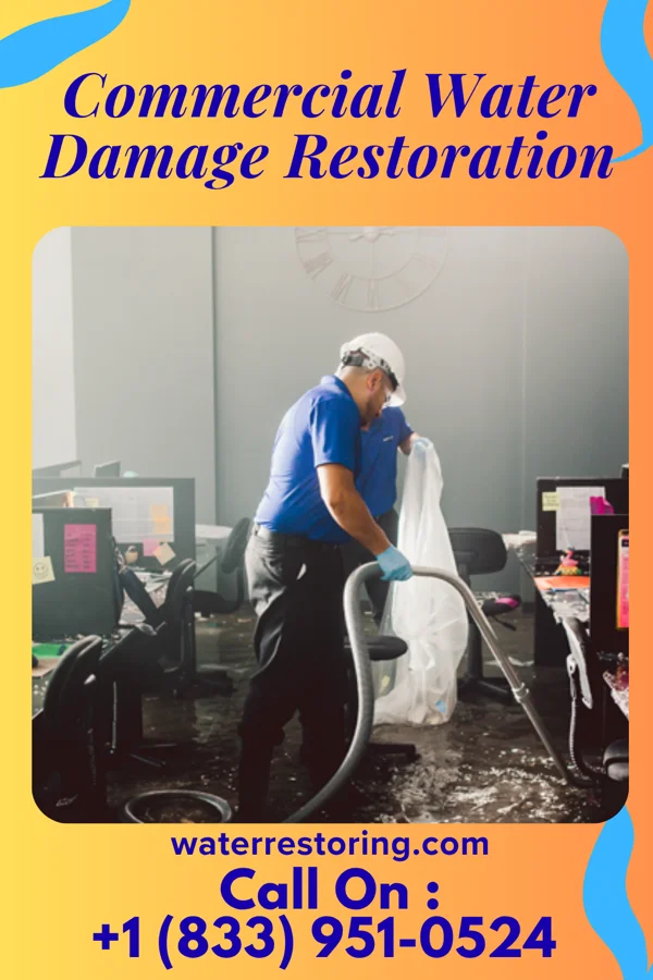 Commercial Water Damage Restoration in Sugar City, ID