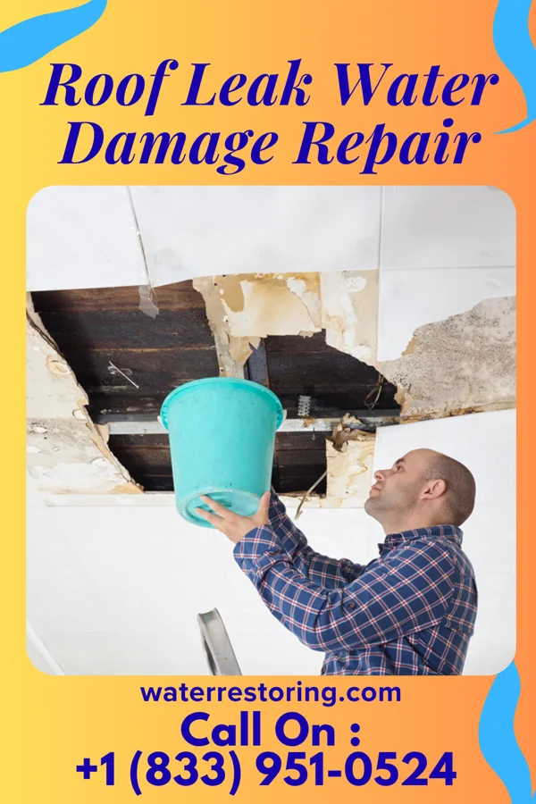 Roof Leak Water Damage Repair in Sugar City, ID