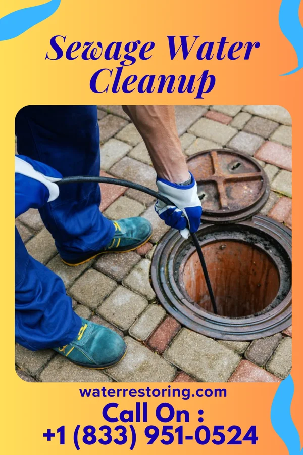 Sewage Water Cleanup in Sugar City, ID
